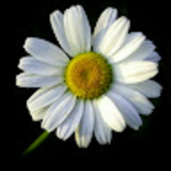 melissaschaf143